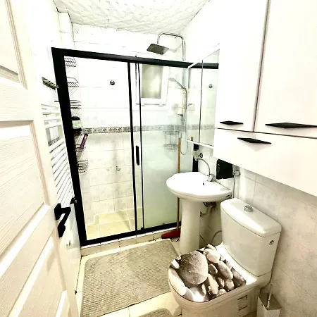 Full+full Super Cozy House In Old Town 3+1 公寓 伊斯坦布尔
