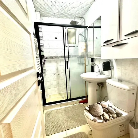 Full+full Super Cozy House In Old Town 3+1 * 伊斯坦布尔