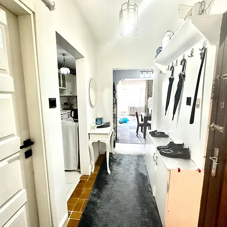 Full+full Super Cozy House In Old Town 3+1 公寓 伊斯坦布尔
